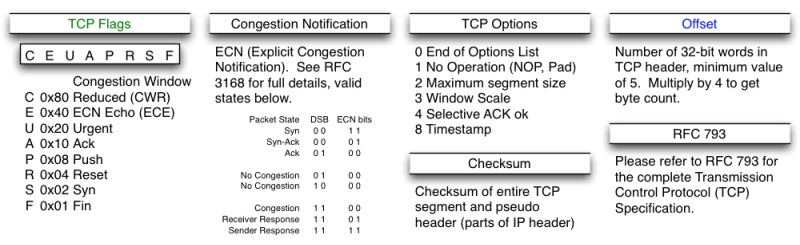 TCP 头部其它字段图示