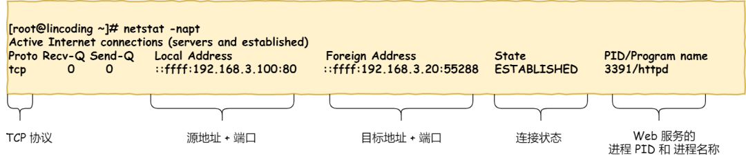netstat 查看 TCP 连接状态