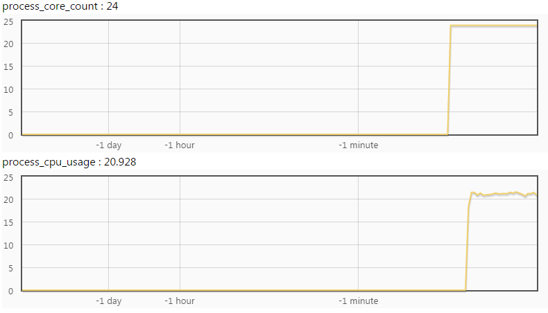 process_core_count 为 24，process_cpu_usage 达 20.9，CPU 是瓶颈