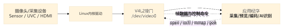 V4L2 在视频链路中的位置：摄像头/采集设备 → Linux 内核驱动 → V4L2 接口 → 应用程序，帧数据与控制命令双向流转